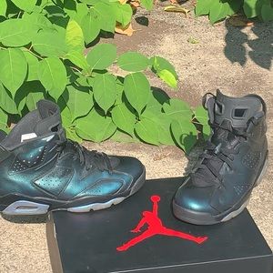 MINT!!!!! Jordan 6 Chameleon